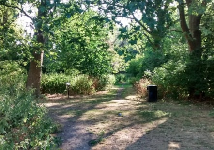 Wick_Woodland