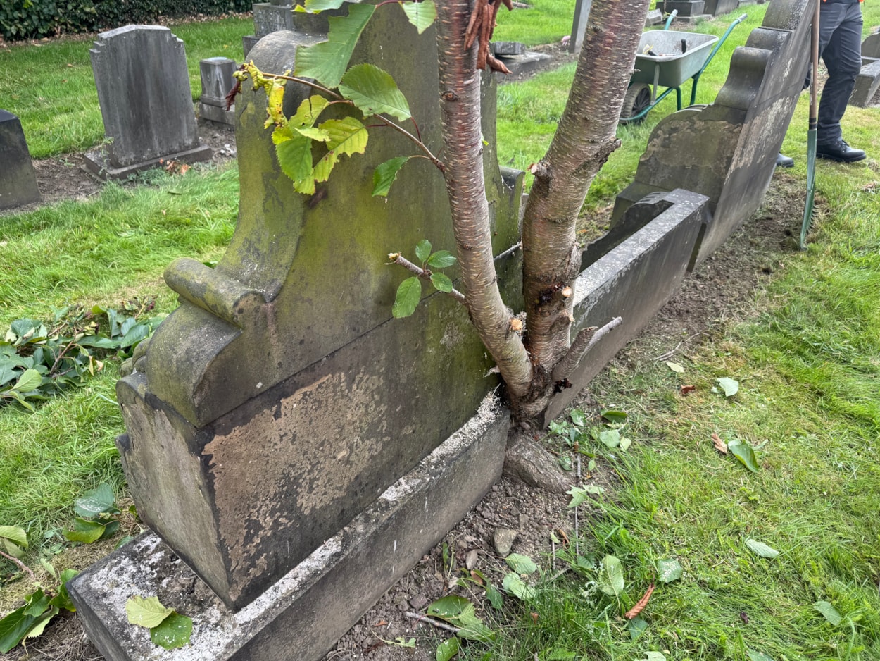 Green Team Away Days 2: Leeds City Council now offers green team away days in the city’s parks and green spaces.
Teams that book on will spend the day working hands-on in one of Leeds’ beautiful parks, woodlands, cemeteries and nature reserves, doing everything from tree planting to meadow management and habitat restoration.