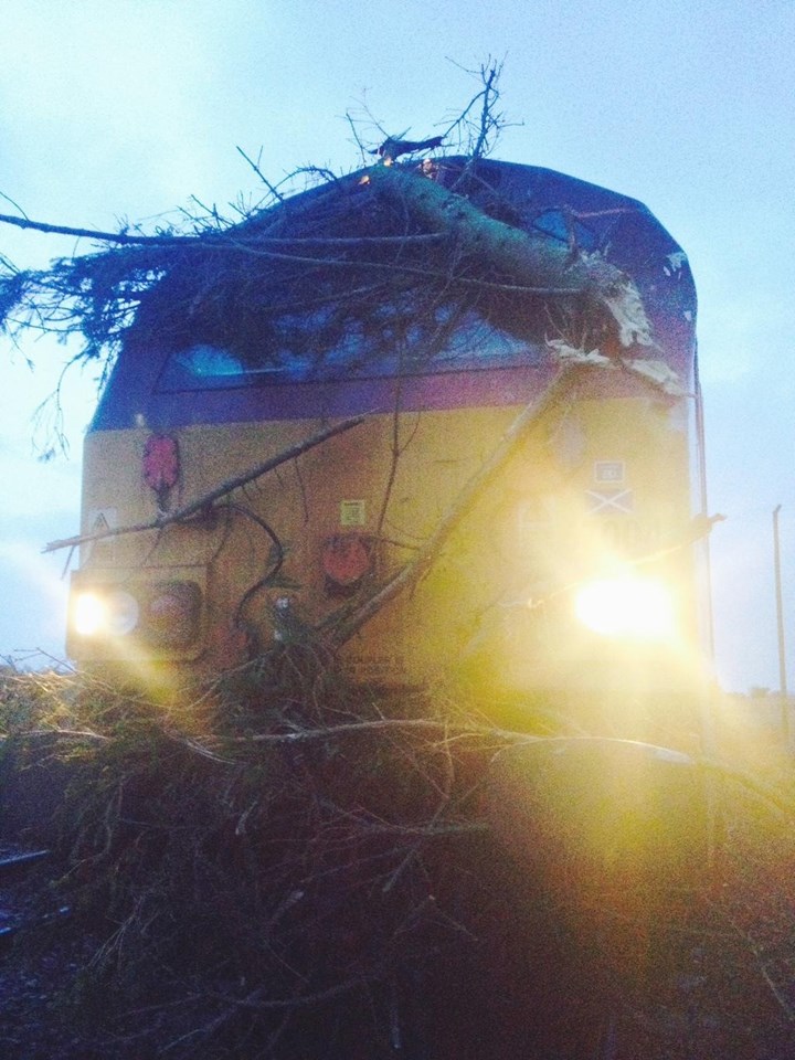 Storm conditions set to affect some West of Scotland rail services: A fallen tree damages a train near Cupar, Scotland during a storm in January 2015