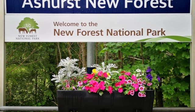 Ashurst New Forest: Floral display at Ashurst New Forest station