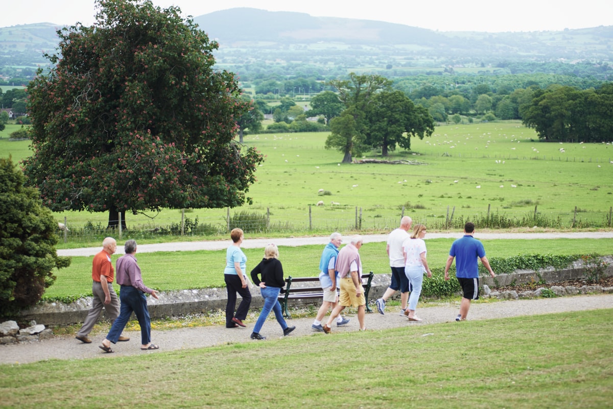 Bodelwyddan Castle Grounds Tour