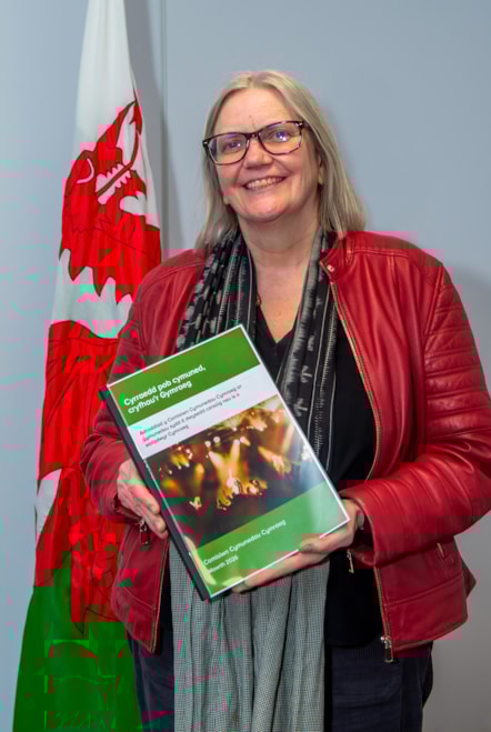 Cyd-gadeirydd Comisiwn 2