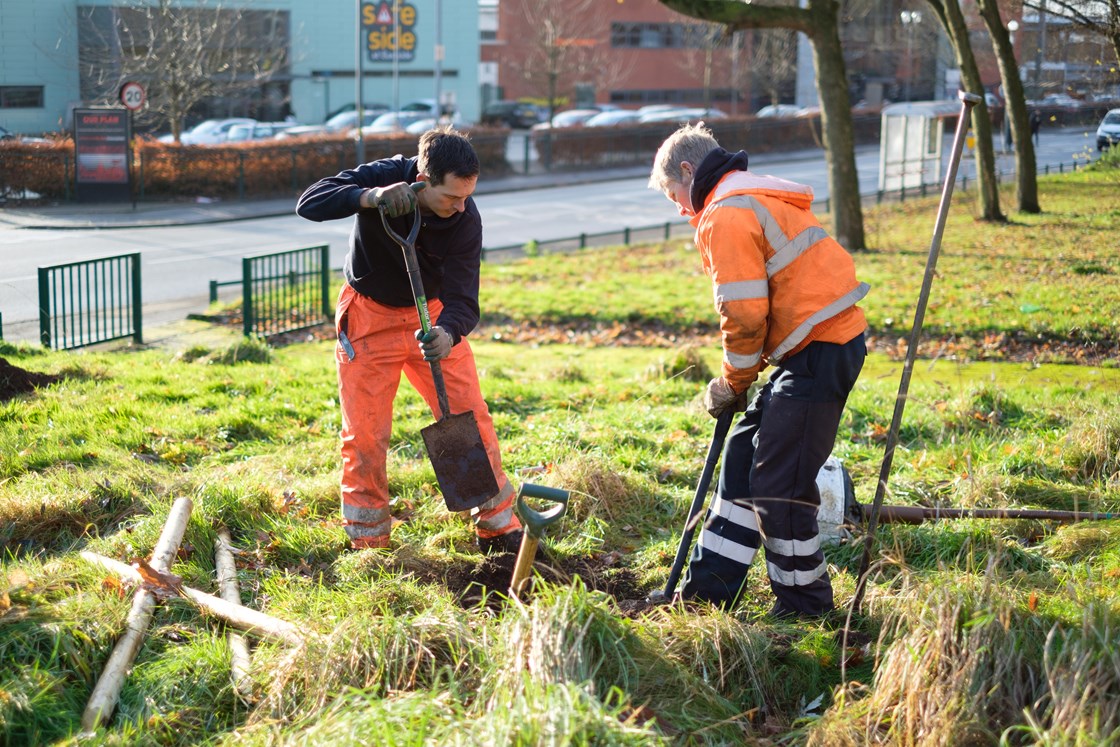 Trees for life Birmingham 00003: Trees For Life, environment, HS2 Community Environment Fund, HS2 Business and Local Economy Fund, CEF, BLEF, community engagement, Birmingham