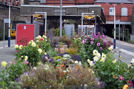 Biodiversity at stations