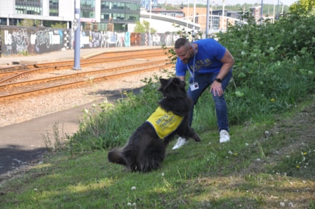 Nya, TPE's Pets as Therapy Dog-4