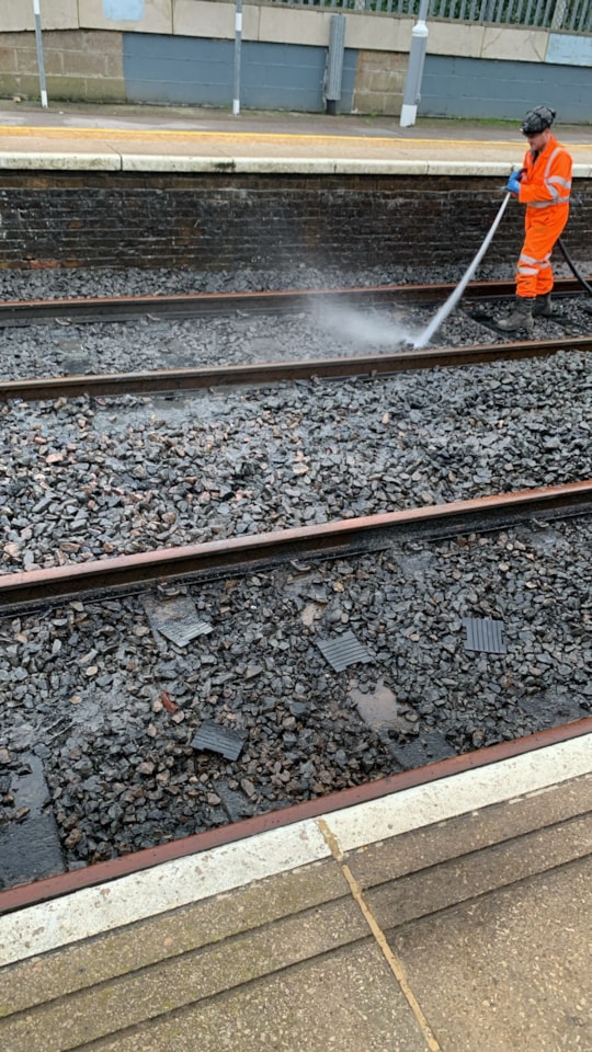 Clear-up at Rye House: Clear-up at Rye House