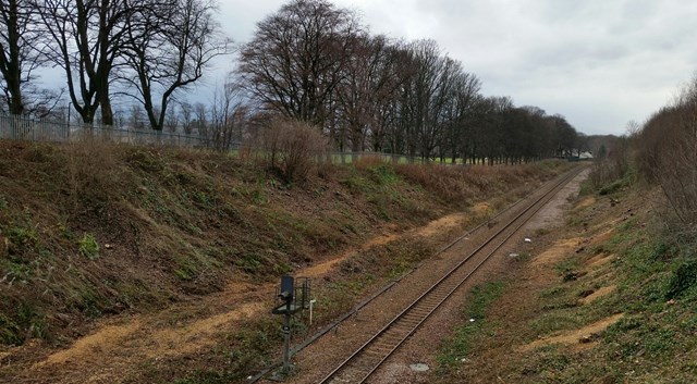 Tree cutting is root to a safer railway: SAA 6mi 961yd 2016-12-14 1237-55 1481724805683