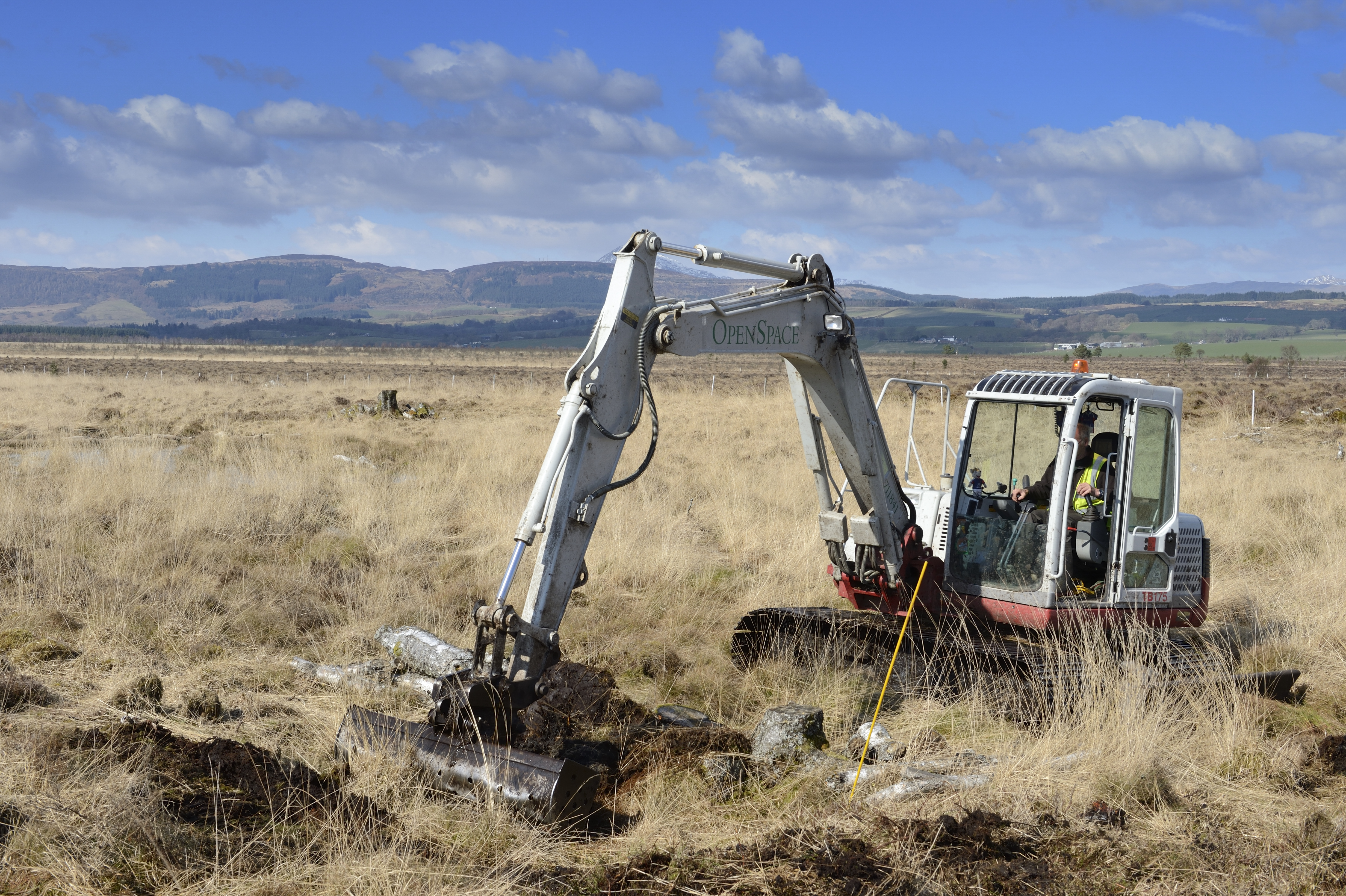 Satellites Track “bog Breathing” To Help Monitor Peatlands