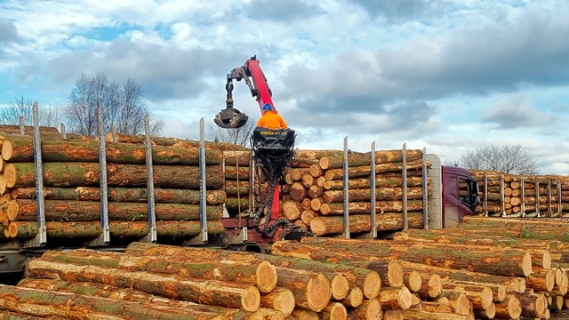 Timber at Hackney Yard
