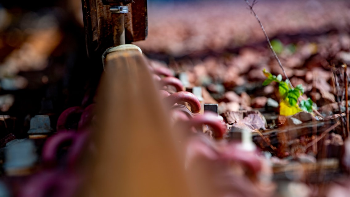 Leaf it to us: Scotland's railway gets a grip on autumn: Autumn work