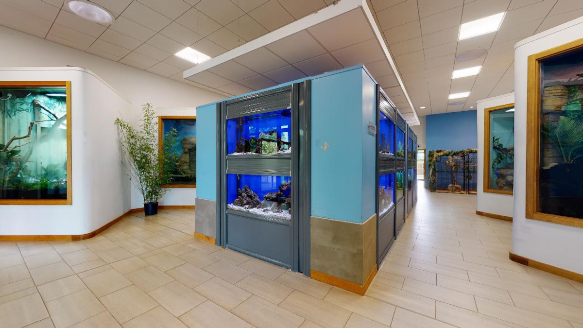 Coleg Cambria Interior-2