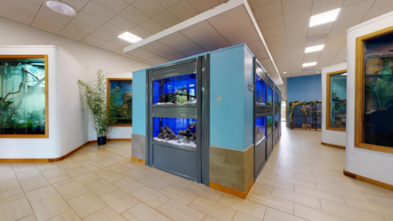 Coleg Cambria Interior-2
