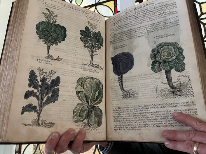 Unearthed at Leeds Central Library: On display as part of the free exhibition is a fascinating collection of beautifully illustrated manuals, compiled by some of history’s most esteemed horticulturalists.

Between their antique covers can be found centuries of accumulated wisdom about the best ways to grow fabulous fruit and vibrant veg as well as colourful flowers and fragrant herb patches.

Among the treasured tomes on display, pictured here with Antony Ramm, is a copy of The Herball or Generall Historie of Plantes, written by famed Elizabethan herbalist John Gerard.