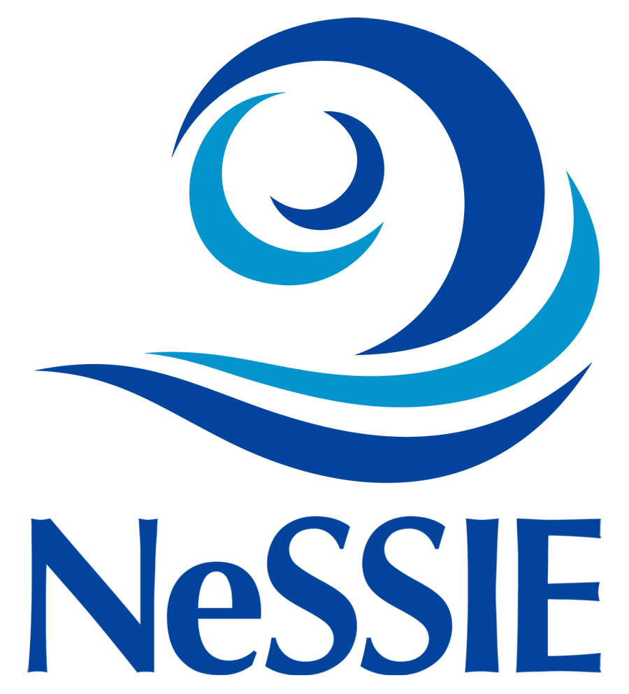 NeSSIE logo square