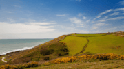 North Devon-23: North Devon-23