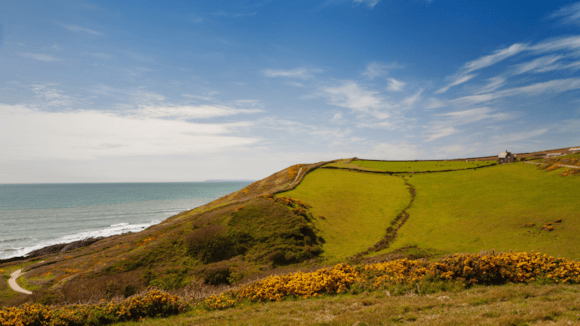 Residents invited to have their say on the future of local government in Devon: North Devon-23