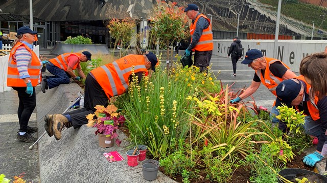 Birmingham New Street flowers get Shakespearean treatment: Volunteers sprucing up Birmingham New Street station's planters