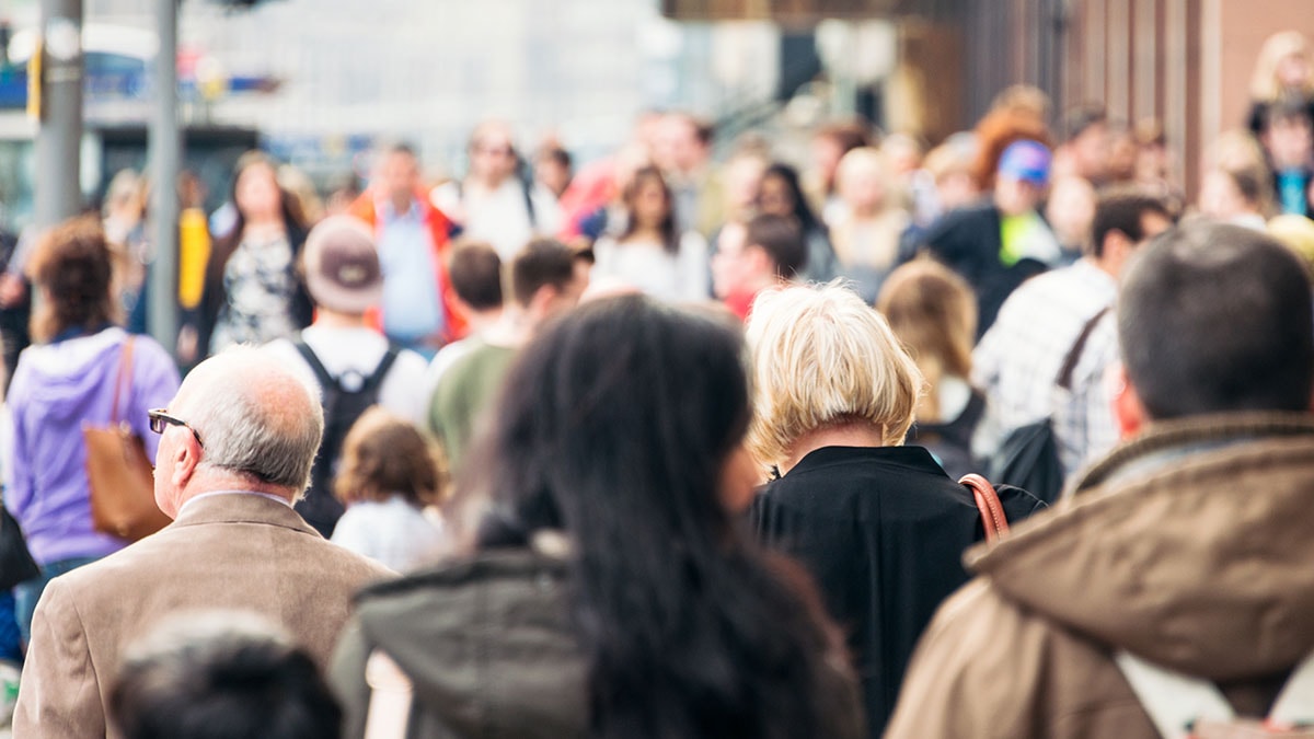 Crowd (image)