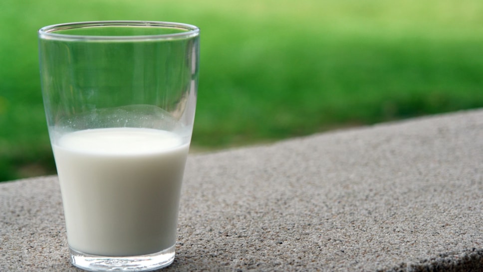 Milk