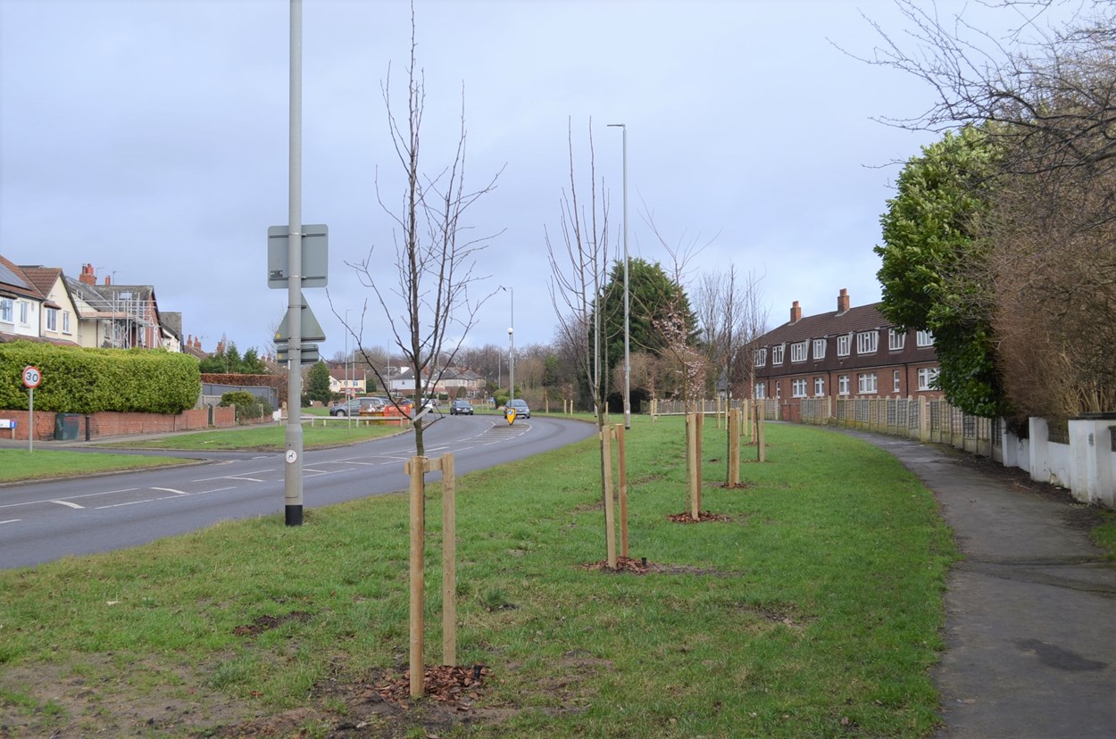 Fink Hill scheme completion 4