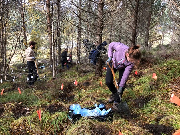 Preparing soil for planting - image credit Royal Botanic Garden Edinburgh