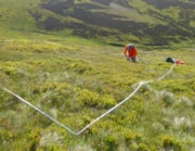 The soil survey in Glen prosen employed cutting-edge environmental DNA (eDNA) techniques to detect organisms.: The soil survey in Glen prosen employed cutting-edge environmental DNA (eDNA) techniques to detect organisms.