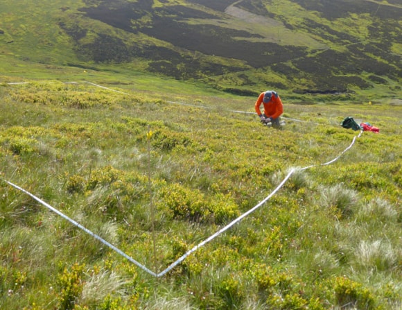 Groundbreaking soil biodiversity survey at Glen Prosen reveals unprecedented findings: The soil survey in Glen prosen employed cutting-edge environmental DNA (eDNA) techniques to detect organisms.