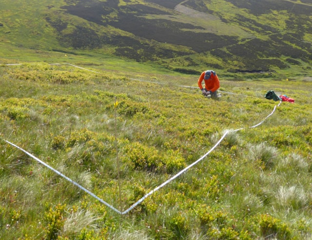 The soil survey in Glen prosen employed cutting-edge environmental DNA (eDNA) techniques to detect organisms.