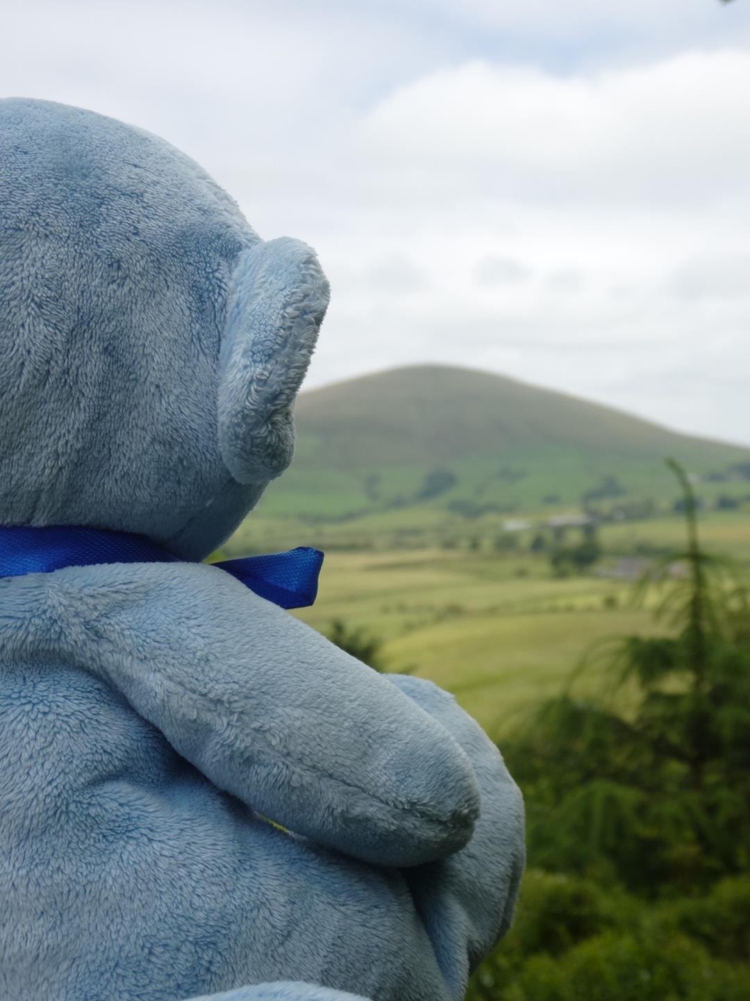 One of our rescued soft toys admiring the view at Beacon Fell