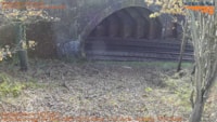 South Eastern Railway deploys flood warning camera technology to improve resilience at five high-risk locations: Hildenborough Flood Camera location