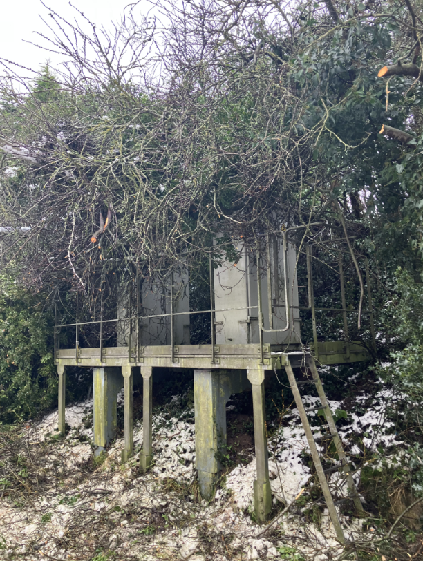 Storm Goretti - fallen tree on lineside equipment near Baschurch, Shrops: Storm Goretti - fallen tree on lineside equipment near Baschurch, Shrops