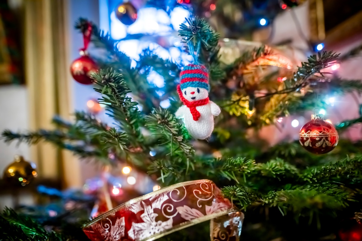Festive weekend at the National Museum of Rural Life. Photo © Andy Catlin (1)