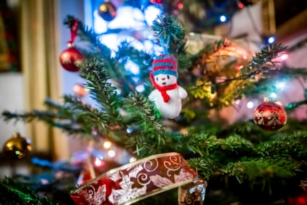 Festive weekend at the National Museum of Rural Life. Photo © Andy Catlin (1)