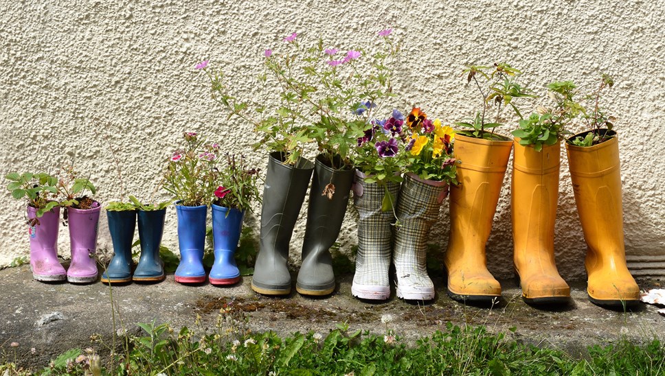 Planted Wellies-2