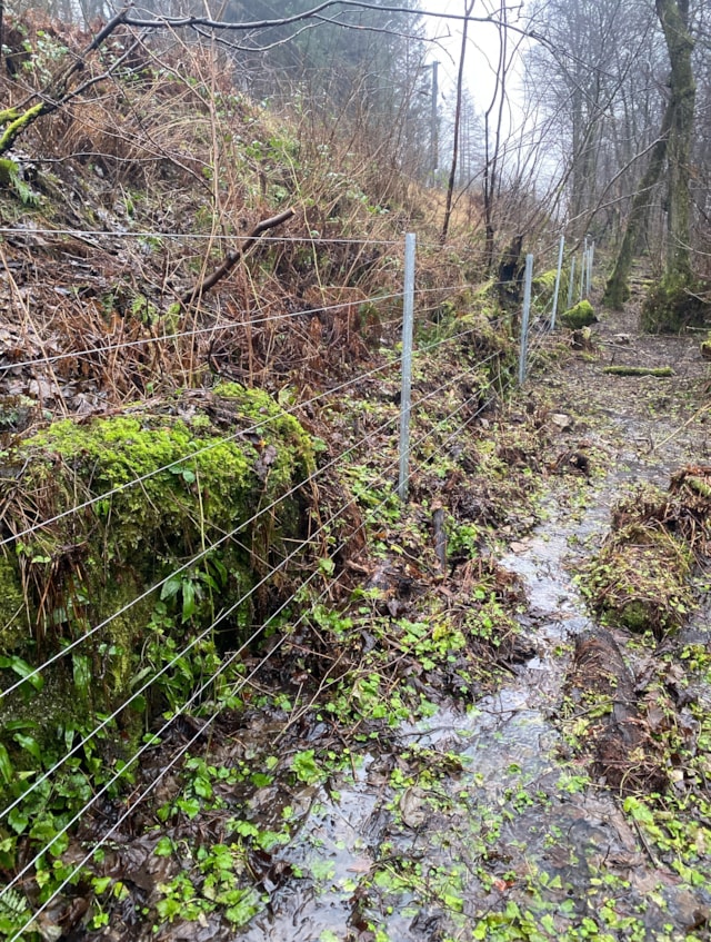 Network Rail partners with RSPB to improve safety at Lochwinnoch nature reserve: 20240123 110747894 iOS