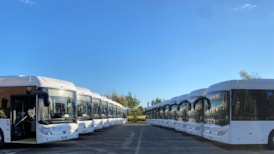 La Linea Fleet: La Linea Fleet