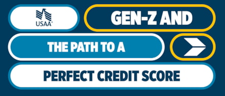 USAA Perfect Credit Score Day Banner