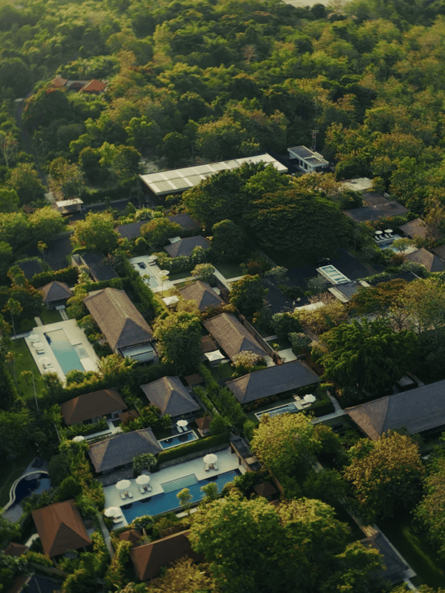 REVĪVŌ Overview