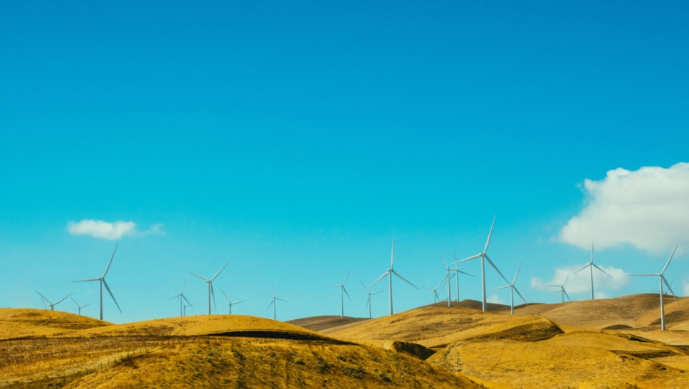 wind farm sunny hills