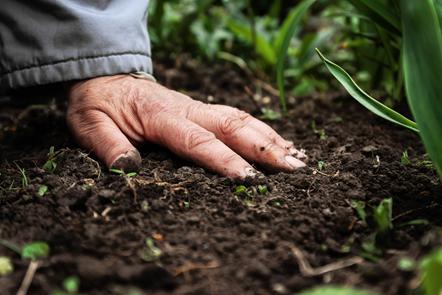 Soil health