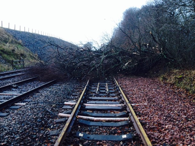 Tree on line Lenzie: Tree blocking main Edinburgh-Glasgow line Dec 5