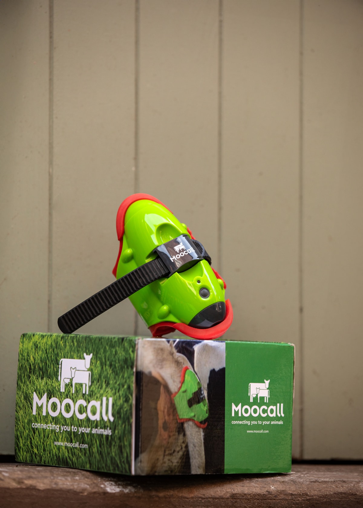 The Moocall wearable health sensor. Image © Moocall (2)