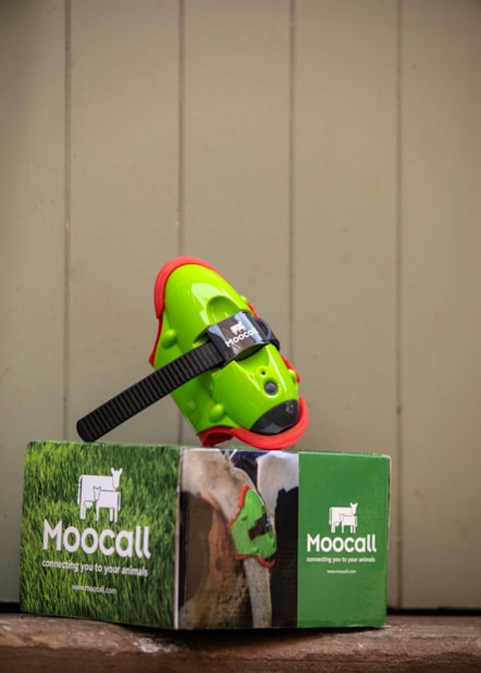 The Moocall wearable health sensor. Image © Moocall (2)