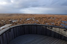 RSPB Forsinard Flows lookout tower, The Flow Country, Sutherland. Image credit: Lorne Gill/NatureScot