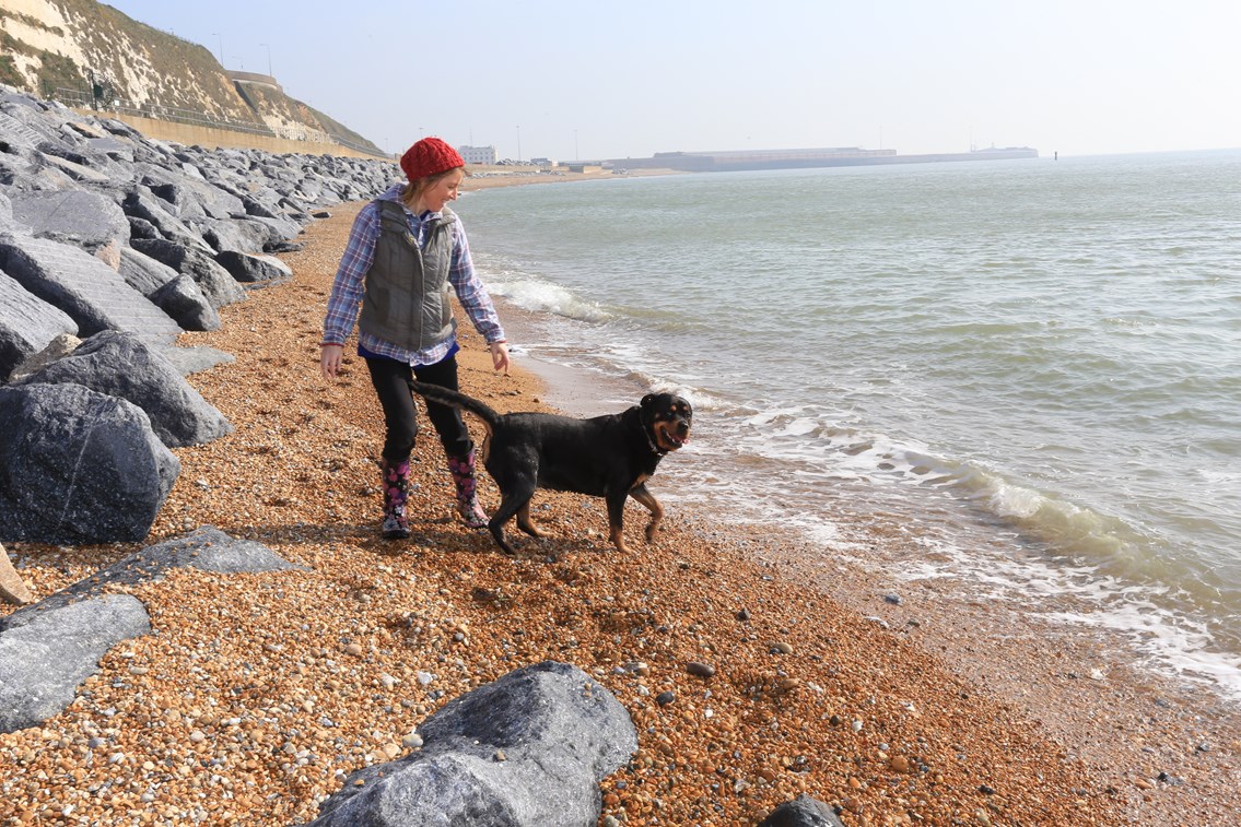 First visitors to Shakespeare Beach, Dover, at high tide: Karen Grant and Keira the Rottweiler are the first visitors to Shakespeare Beach since 2015 - pictured at high tide