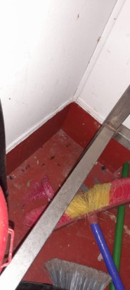 Rat droppings beneath meat mincer