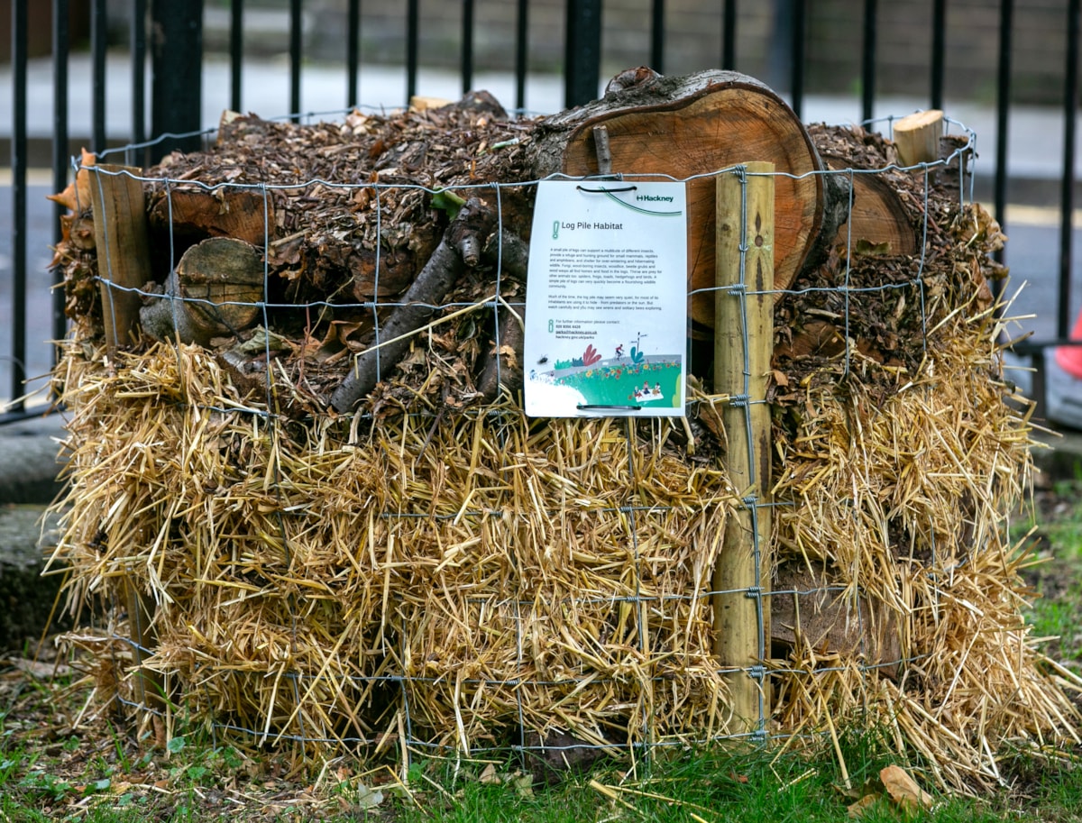 Log pile habitat