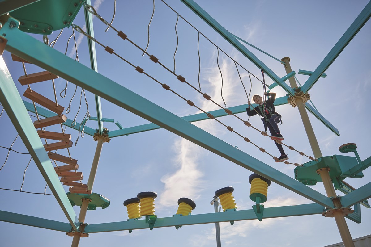 Aerial Adventure at Allhallows