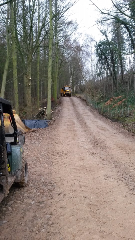 Site access road being built