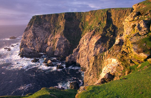 Record number of visitors to Shetland National Nature Reserve: Seacliffs at Hermaness NNR ©Lorne Gill/NatureScot